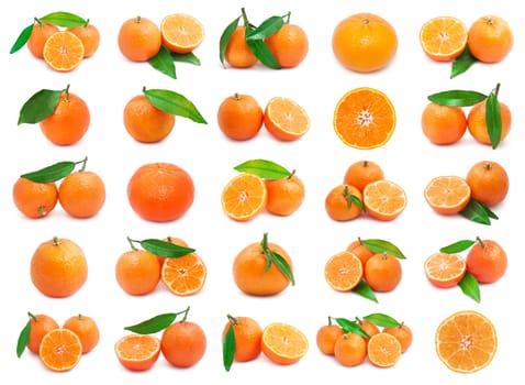 Collection of juicy tangerines or mandarins isolated on white background