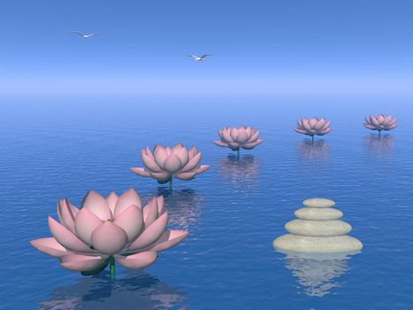 Pink lily flowers in a row next to balanced stone upon water into blue background
