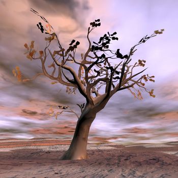 Beautiful autumn fantasy tree in desert landscape by colorful sunset
