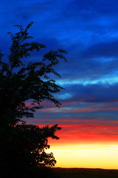 Beautiful and colorful sunset with dark tree silhouette, blue, red, orange and yellow tones.