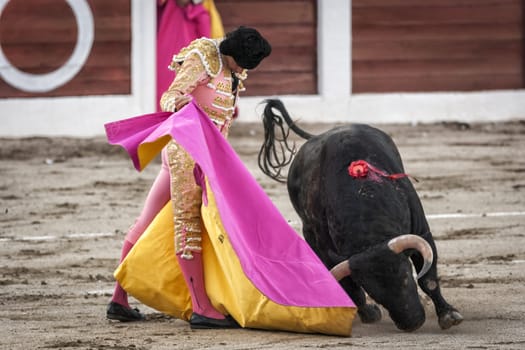 Linares, Jaen province, SPAIN - 21 august2011: Spanish bullfighter Manuel Jesus El Cid with the capote or cape bullfighting a bull of nearly 600 kg of grey ash during a bullfight held in Linares, Jaen province, Spain, 28 august 2011