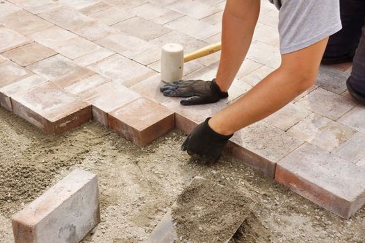 Man or trade worker installing paver stone in the backyard