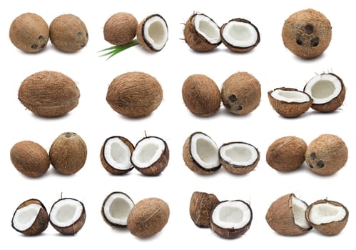 Collection of fresh coconuts isolated on white background