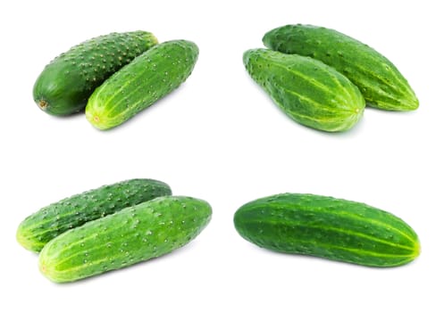 Collection of fresh green cucumber isolated on white background