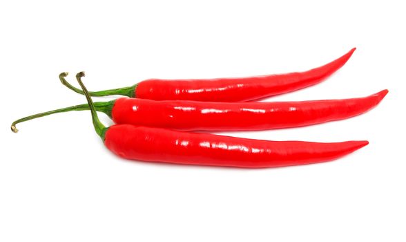 Red hot chili pepper isolated on white background