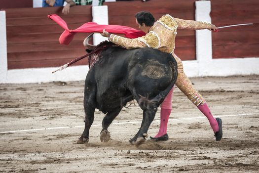 Linares, Jaen province, SPAIN - 28 august 2011: Spanish bullfighter Manuel Jesus El Cid with the capote or cape bullfighting a bull of nearly 600 kg of black ash during a bullfight held in Linares, Jaen province, Spain, 28 august 2011