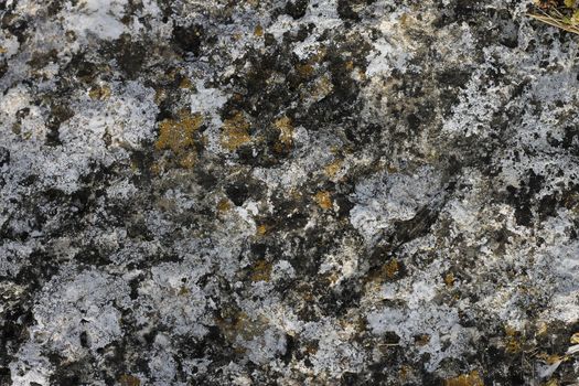 Natural background with a stone and the moss