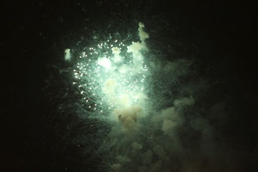 Colorful firework in the black night sky