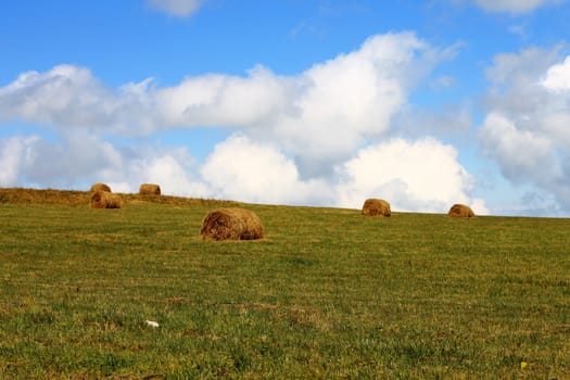 Straw roll bale on the field of farmland