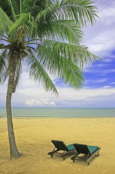 Sandy beach with sun chairs and palm trees