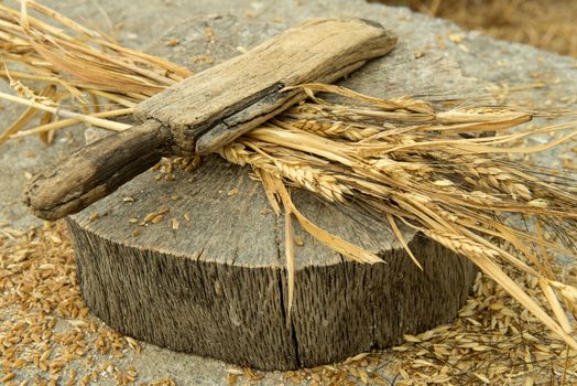 The ancient home tool which our ancestors was used for wheat peeling
