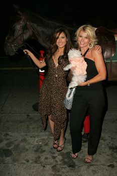 Kerri Kasem and Tamie Sheffield arriving on Sunset Blvd. at the In Touch Pets and their Stars Party with her horse "Playboy," Cabana Club, Hollywood, CA 09-21-05