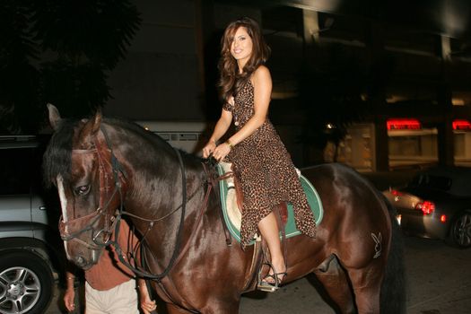 Kerri Kasem and her horse "Playboy" arriving on Sunset Blvd. at the In Touch Pets and their Stars Party with her horse "Playboy," Cabana Club, Hollywood, CA 09-21-05