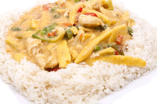 diced chicken in coconut curry sauce served with rice