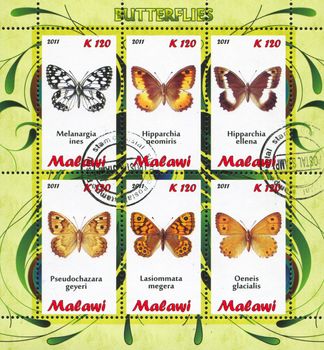 MALAWI - CIRCA 2011: stamp printed by Malawi, shows butterfly, circa 2011