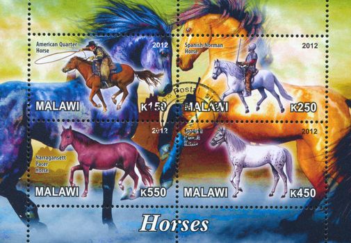MALAWI - CIRCA 2012: stamp printed by Malawi, shows horses, circa 2012