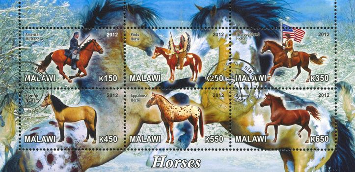 MALAWI - CIRCA 2012: stamp printed by Malawi, shows horses, circa 2012