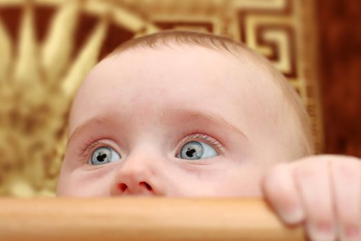 Surprised Little Baby Portrait in Bassinet Closeup