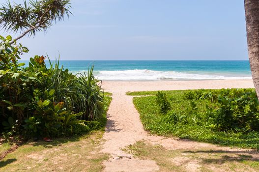 Path to the beach at Indian Ocean in Sri Lanka