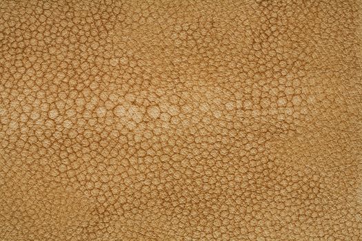 high rezolution texture of leather