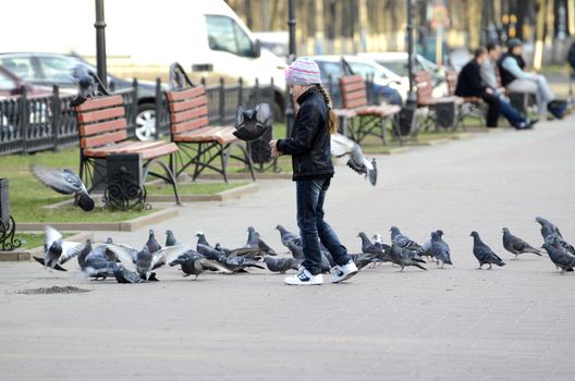 Girl five years feeding pigeons in the square of the city