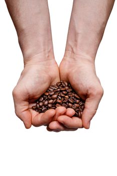 Men's hands hold roasted coffee beans isolated on white background