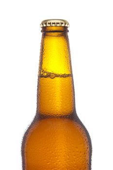 Bottle of beer with droplets