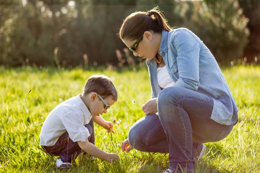 Happy mother and cute son picking a bouquet of flowers in sunny field