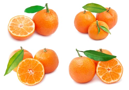 Collection of juicy tangerines or mandarins isolated on white background