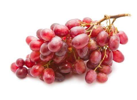 Branch of grapes isolated on white background