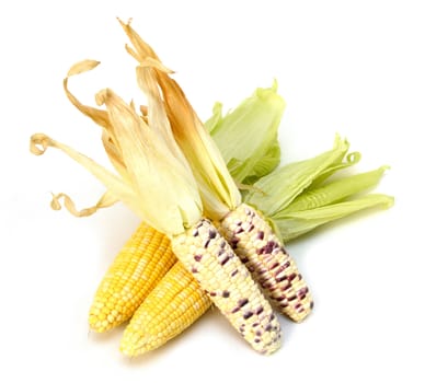 Sweet corn isolated on white background