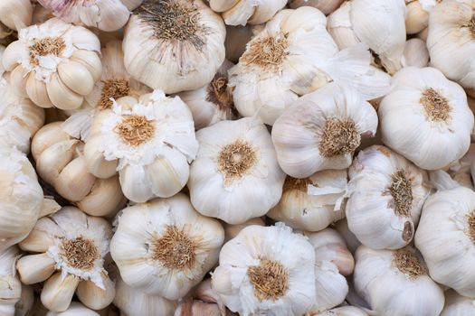 Garlic for sale on Provence market, Marseille city, South France