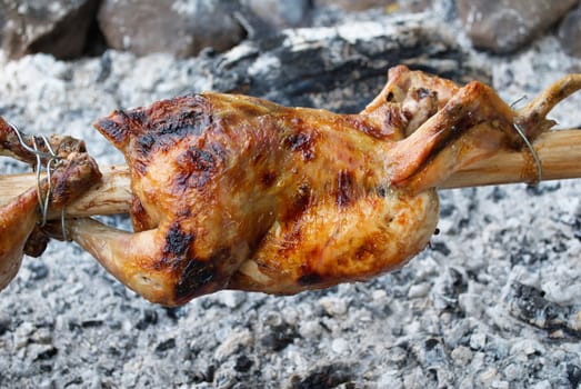 Roasting chicken on open fire and live charcoals, outdoor picnic