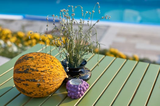 Ripe yellow melon and lavender of Provence, South France