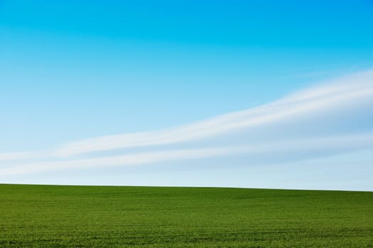 Spring scenery with green grass and blue sky