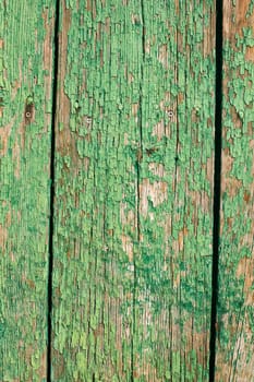 Old cracked green paint on wooden surface textured background vertical frame