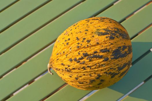 Ripe yellow melon of Provence, South France