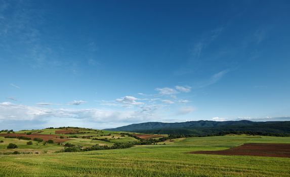 Spring landscape scenery with green field and blue sky