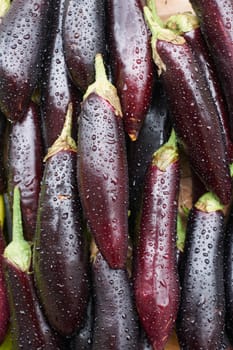 Ripe aubergine wet with waterdrops on the surface