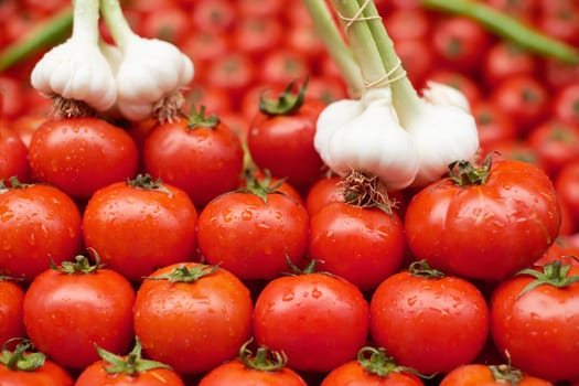 Red ripe tomato fruits with water drops and garlic for sale on market