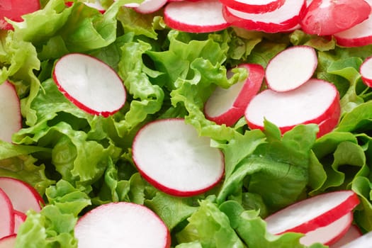 Green lettuce and red radish salad close-up