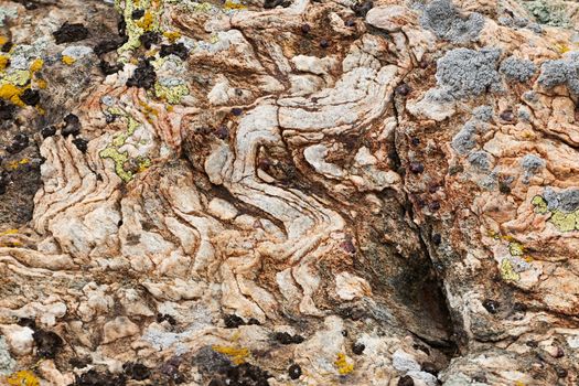 Magma rock with garnet crystals on land surface