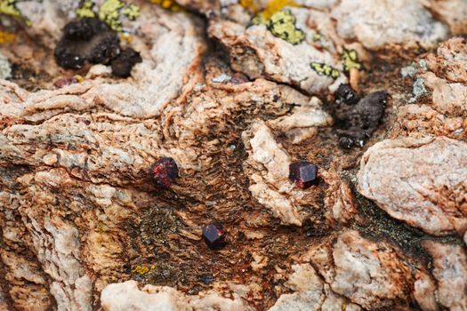 Magma rock with garnet crystals on land surface