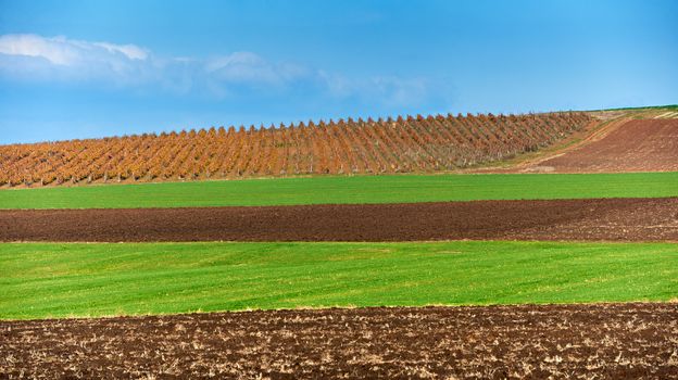 Landscape with farmers land and green fields in late autumn season