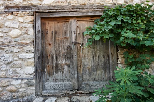 Old wooden door and green vine in Melnik town, Bulgaria