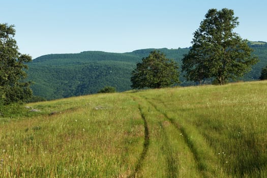 Summer landscape with green grass field, oak trees and mountain ridges