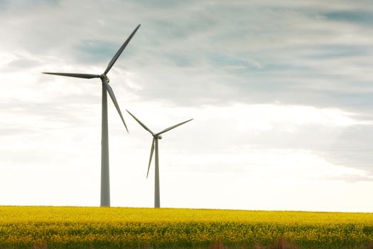 Power generators with wind propellers on blossom spring field