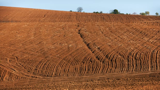 Cultivated land in North Bulgaria early spring season ready for crops