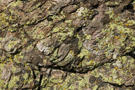 Stone with random lichens, natural rock background