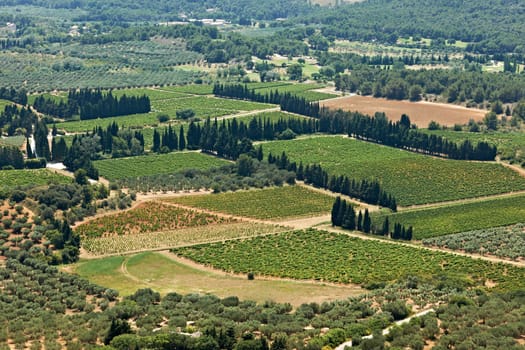 Landscape view from French Provence in summer season